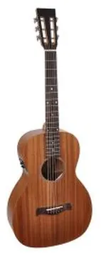 Richwood Master Series Handmade Parlor Guitar with Fishman Electronics