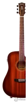 Waldman DCEX-441 Eletroacústico Cordas Aço Cor Natural Burst (NB)