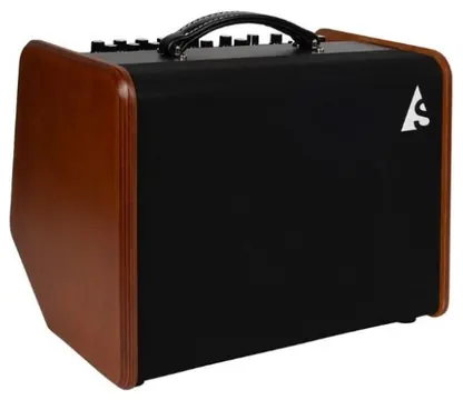 Godin Acoustic Solutions ASG8