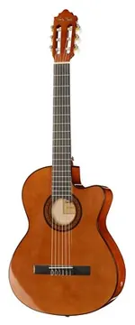 Harley Benton CG300CE NT