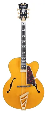 D'Angelico Excel EXL-1 Amber