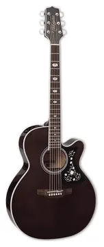 Takamine Gn75 Cutaway Transparent Black