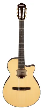 Ibanez AEG50N-NT Clássico Eletro-Acústico Nylon Thinline Cutaway Natural