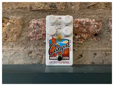 Electro-Harmonix Canyon Delay & Looper