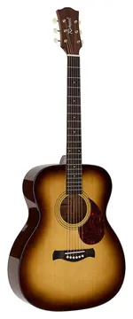 Richwood Heritage Series HSA-40-SB auditorium guitar with solid spruce top