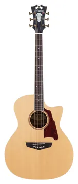 D'Angelico Premier Gramercy Natural