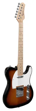 Giannini Tele Sonic GAE02 Plus 2TS