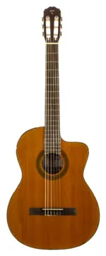 Takamine GSC1CE-NG Natural