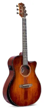 Waldman GCEX-1841 FSB Sunburst com Bag