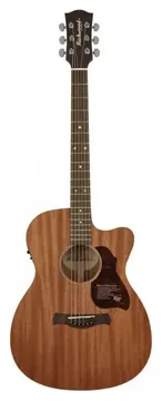 Richwood A-50-CE Chitarra Acustica Auditorium Elettrificata