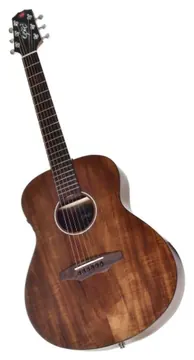 Seizi Supreme Mini Ryu Mirai Koa