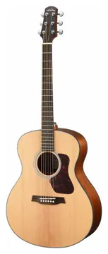 Walden WAG550 E Chitarra Acustica