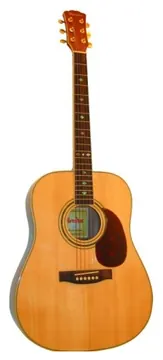 Olveira AG840N Chitarra Acustica Natural