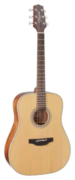 Takamine GD20NS