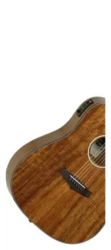 Tanglewood Evolution Exotic Electro Acoustic Guitar