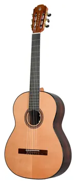 Pleyel P800 Expression 4/4 + Gigbag