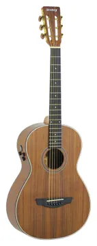 Strinberg SY300 KS Artístico C/ Bag