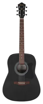 Ibanez V54NJP-WK Verwittertes Schwarz offenporig