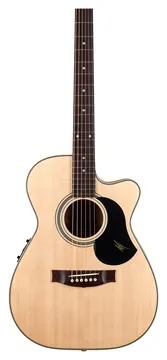 Maton The JR Joe Robinson Signature