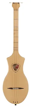 Seagull Merlin M4 spruce eq