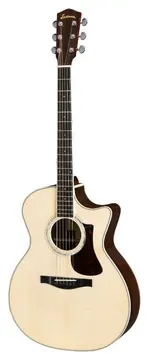 Eastman AC422CE - Auditorium