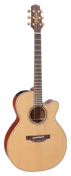 Takamine P3NC