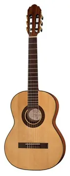 Gewa Pro Arte GC75A