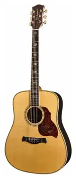 Richwood Master Series akoestische gitaar - VA Fichte Abalone - SALE -