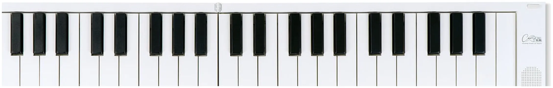 Carry On Carry-on-fp49t-wt - folding piano touch - bianco