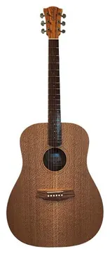 Cole Clark FL1-SSO