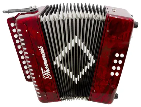 Michael Acordeon Michael ACM12007N 120 Baixos 7 Registros