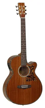 Tanglewood SUNDANCE PRO TW47 E Acoustic Guitar