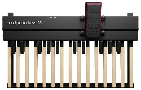 Nord PK25 Midi Baspedaal