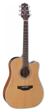 Takamine GD20CE NS