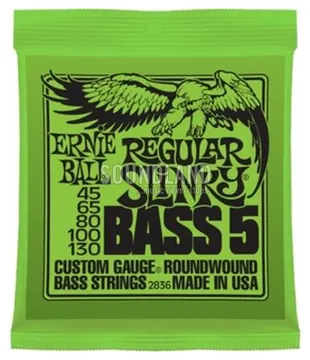 Ernie Ball 2836 Regular Slinky 045-130