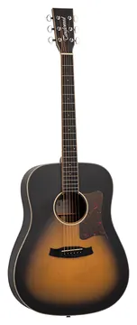Tanglewood Winterleaf TW11 TS