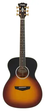 D'Angelico Tammany Vintage Sunset