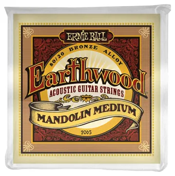 Ernie Ball Earthwood 2065 Mandolin Medium Set