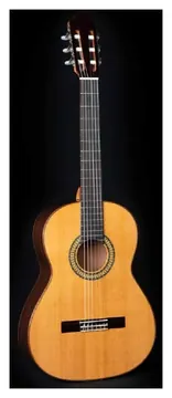 Esteve ICS MOD.5