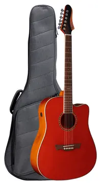 Tagima Swell Deluxe CA Com Capa