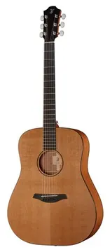 Furch Blue plus D-CM a w/GB