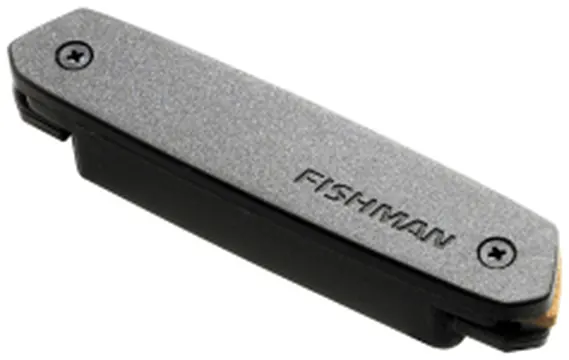 Fishman Micro NEO-D02