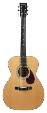 Eastman E10OM TC Thermo Cured 2023