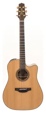 Takamine P3DC