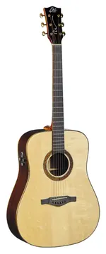 Eko Wow D800E SR (Spruce/Rosewood)