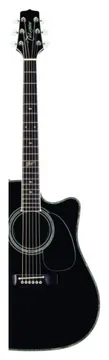 Takamine SW341SCK Chitarra Acustica