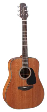 Takamine GD11M-NS