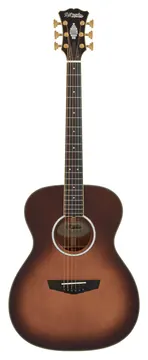 D'Angelico Excel Tammany Autumn Burst