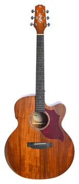 Seizi Neo Shogun Kaizen - Cutaway Koa Com Bag