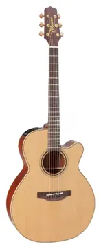 Takamine Pro Series P3NC Electro Acoustic Guitar